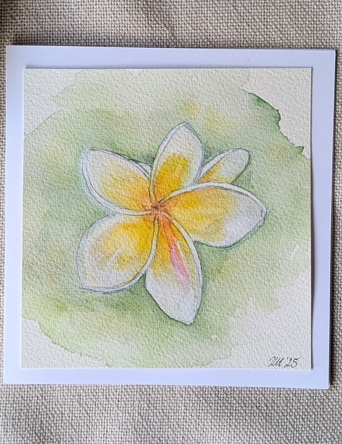 hand painted watercolour frangipani gift card